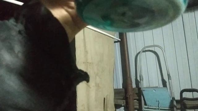 Серебряные плюшки!!! смотреть онлайн