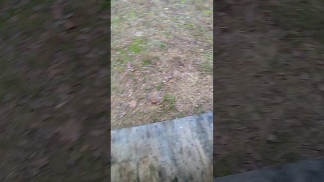 Пчёлы в ноябре без утепления. смотреть онлайн