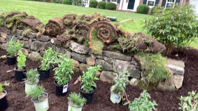 Formal native cottage garden in Mt Kisco смотреть онлайн