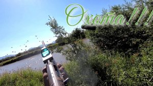 Охота как она есть. Камчатка. дзен.mp4