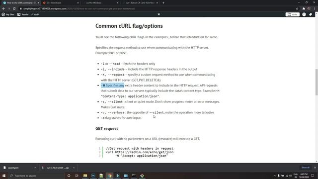 How to use CURL Command for API Testing | cURL Basics with GET | POST | PUT | DELETE| HEAD Options смотреть онлайн