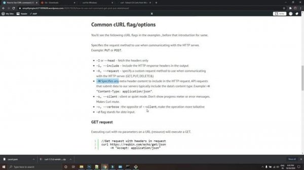 How to use CURL Command for API Testing |  cURL Basics with GET | POST | PUT | DELETE| HEAD Options