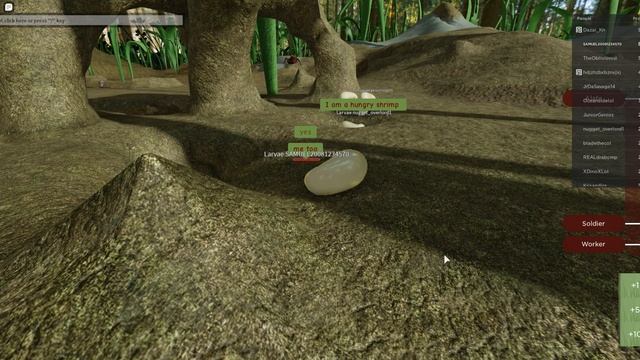 Roblox ant life exploiting смотреть онлайн
