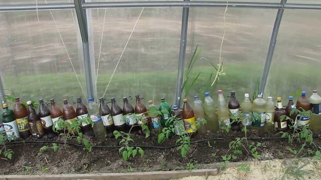 моя теплица,начало. смотреть онлайн