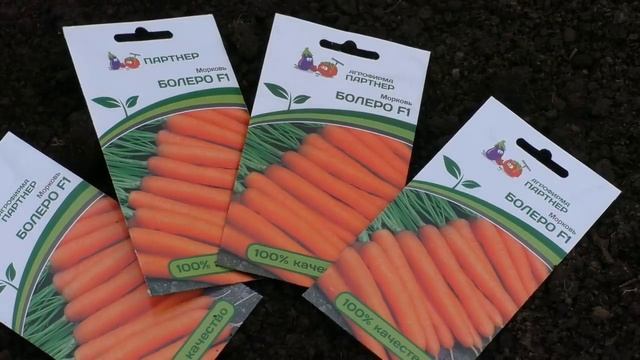 Посев моркови "под одеяло" смотреть онлайн