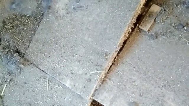 Кролики в вольере. Массовые окролы. Куда будем девать столько кроликов? смотреть онлайн