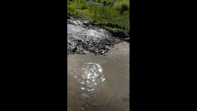 Тойота гайя 4 WD по бездорожью