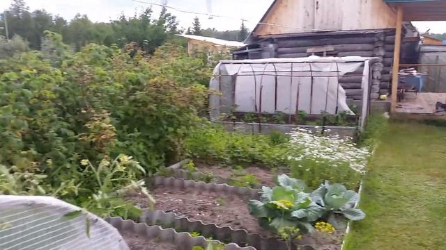 Дача в СНТ Незабудка смотреть онлайн