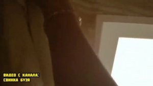 НИКОГДА НЕ СМОТРИ ФИЛЬМ СВИНКА ПЕППА.ЕХЕ В 3:00 НОЧИ ! **Она Съест Тебя** Морская Свинка Бузя и Куз