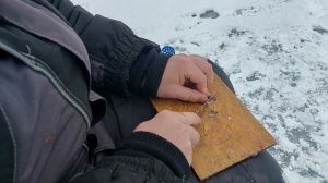 Как правильно и быстро порезать корюшку на наживку прямо на льду?