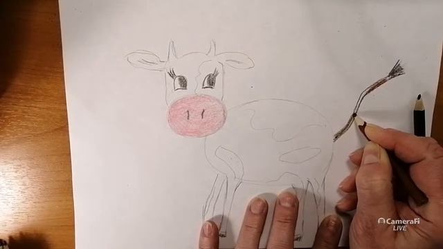 Символ года Бычок/скоро новый год /прямой эфир! смотреть онлайн