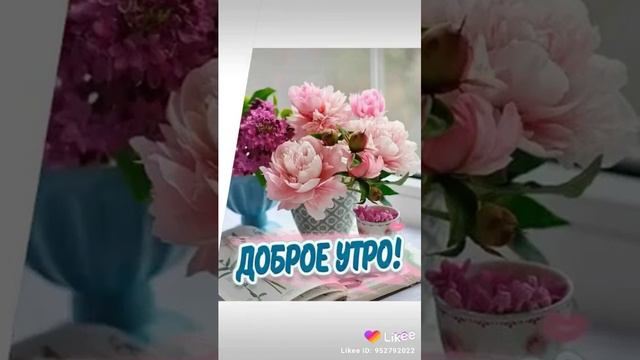 С добрым воскресным утром, Друзья!!!🌏😘🤩🌝🌊🌊🌊🦢🐬💦❄️