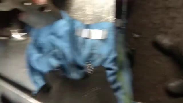 Вопросы и ответы в звуке