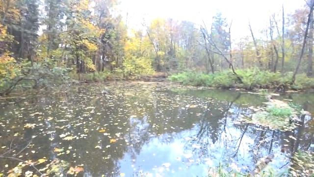 Ловля щуки на удочку на живца! Щука на поплавок в октябре! Бывает и такое! смотреть онлайн