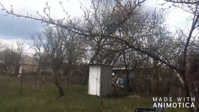 Дачные Хроники. Эпизод 0. Первое знакомство #дача #покупкадачи смотреть онлайн