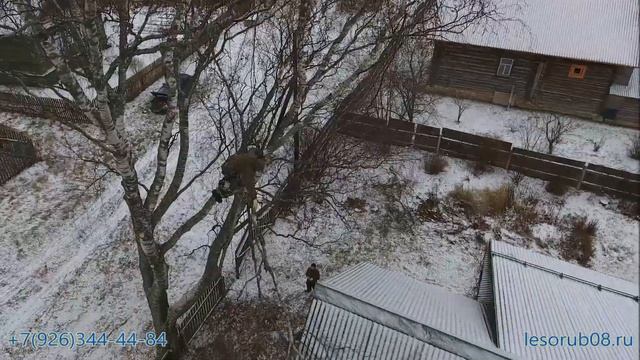 Удалить, спилить, срубить дерево в Москве и Московской области - Lesorub08 смотреть онлайн
