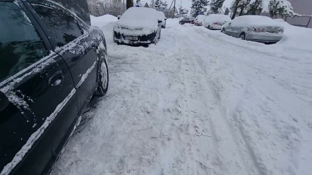 #4119 Снег завалил садовода – дневник ютуб канала смотреть онлайн