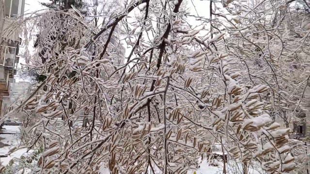"а ми тую червоную калину підіймем"... да, да и Тую и Калину и другие деревья.. смотреть онлайн