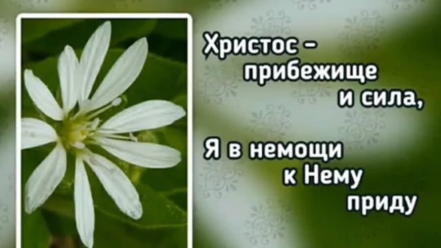 Гимны надежды 156 Христос - мне щит (-) смотреть онлайн