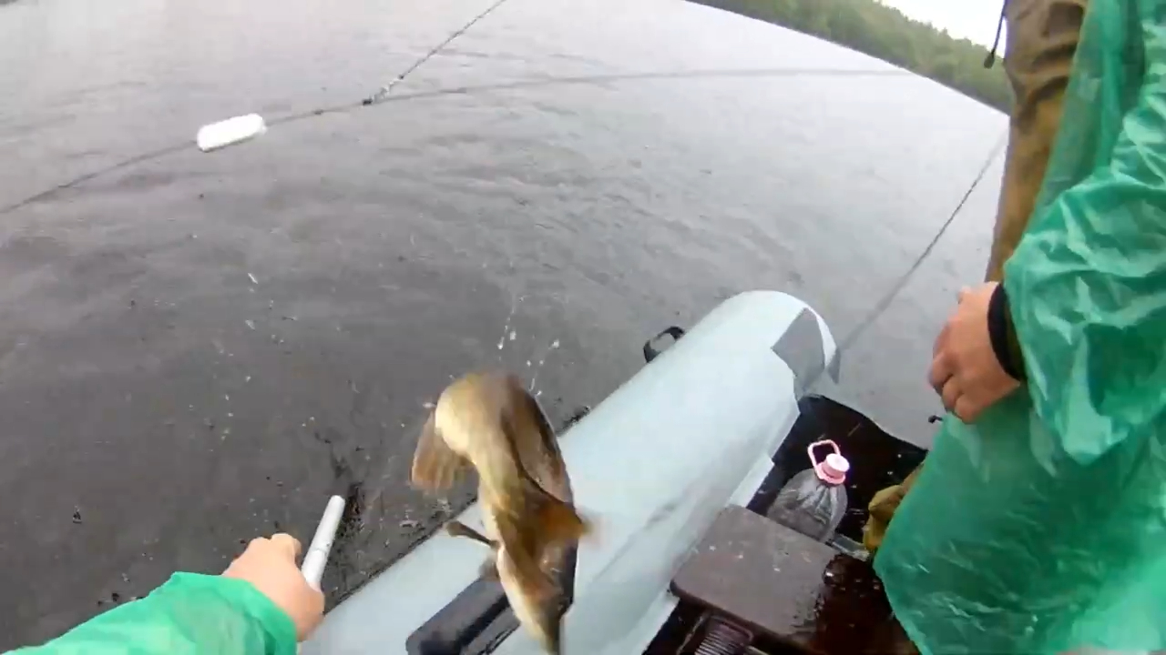 ГОЛОДНАЯ ЩУКА НА ПРОДОЛЬНИКЕ - ПРОВЕРКА. смотреть онлайн