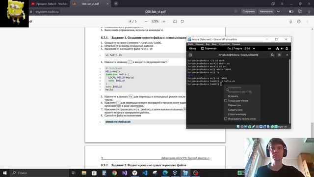 Выполнение лабораторной работы 8 смотреть онлайн