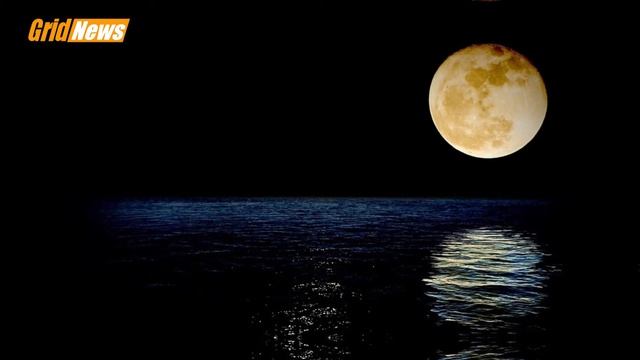 Почему луну видно днем на небе и солнце одновременно? Как объяснить? смотреть онлайн