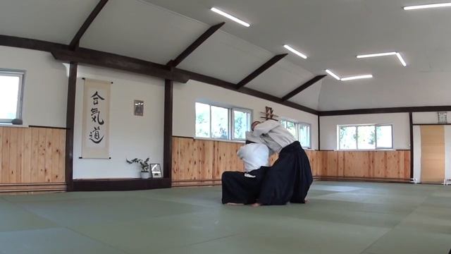 25 Ханми-хантачи ваза. рётэдори сихонаге (ура)