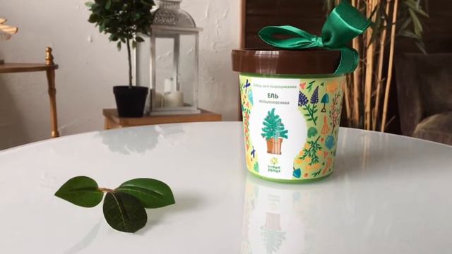 Happy Plant: горшочки смотреть онлайн