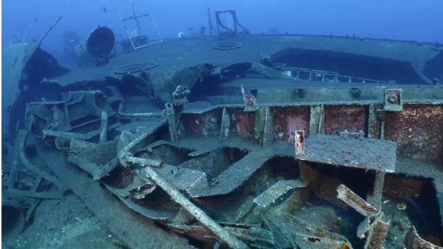 BEAUTIFUL CORAL REEF UNDERWATER COLLECTION • 22 MINUTE  • BEST RELAX MUSIC • SLEEP MUSIC (8K-HDR)