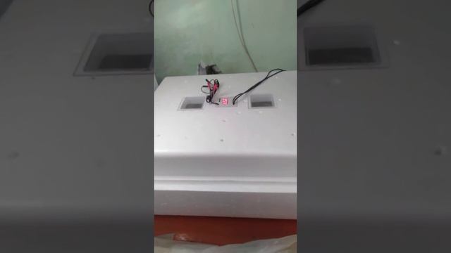 проклев на яйцах смотреть онлайн