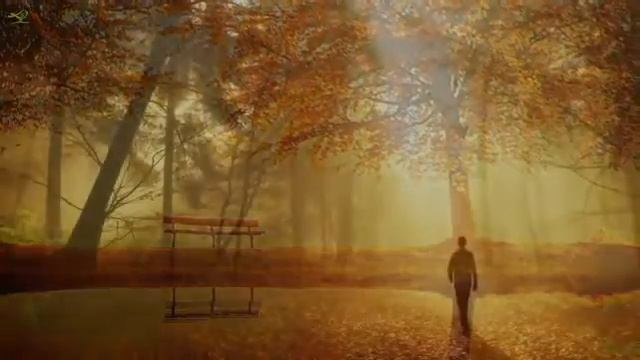 Расслабляющая фортепианная музыка: музыка для сна, быстрое засыпание, музыка для глубокого сна, сла