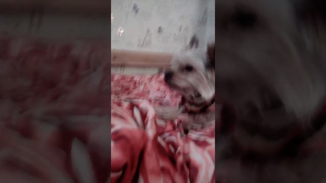 Потпеваю пока Эрика не видит смотреть онлайн