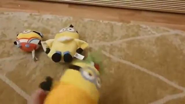 Новая акция в магните миньоны смотреть онлайн