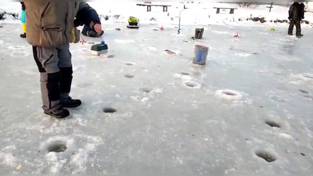 2 декабря 2022 г. смотреть онлайн