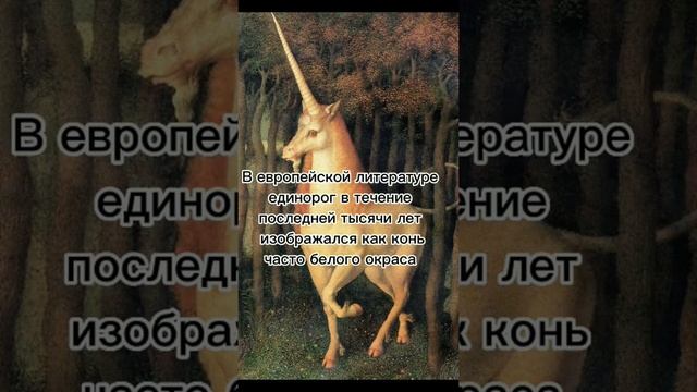 Единорог. Единороги из древней мифологии смотреть онлайн