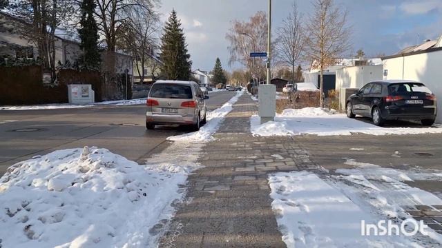 388...Жёлтые тюльпаны на снегу! смотреть онлайн