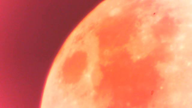 O Sistema Solar, Lua, Marte e o Sol, telescópio digital reciclado, Marcelo Ambrogi смотреть онлайн