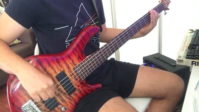 Fluorescent adolescent - Artic Monkeys (Bass Cover) смотреть онлайн