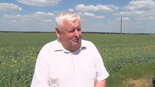 Несвижский регион смотреть онлайн