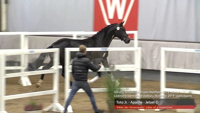 Hengst v. Toto Jr. - Apache - Jet Set-D смотреть онлайн