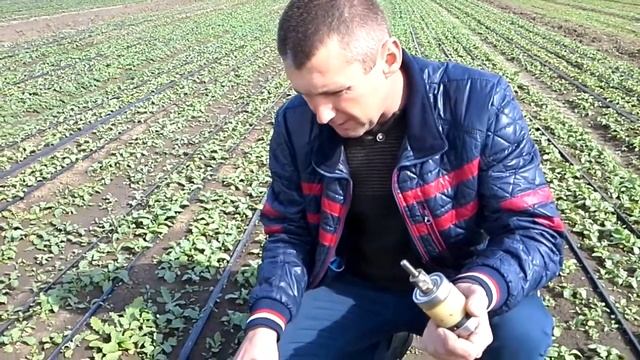 Результаты посева редиса сеялкой СОТ 4_2 ВАС52-10-3 смотреть онлайн