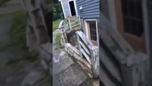 нежданчик смотреть онлайн
