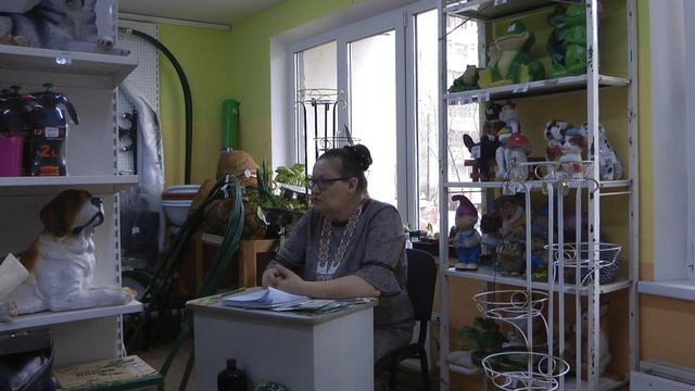 Выращиваем капусту - белокочанную, цветную, брокколи и другие виды. смотреть онлайн