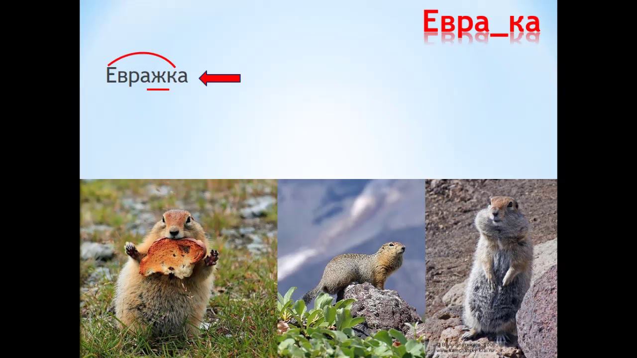 Занятие «Лето шагает по Камчатке» смотреть онлайн