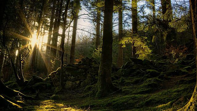 ASMR Close whisper Guided sleep meditation Personal attention смотреть онлайн