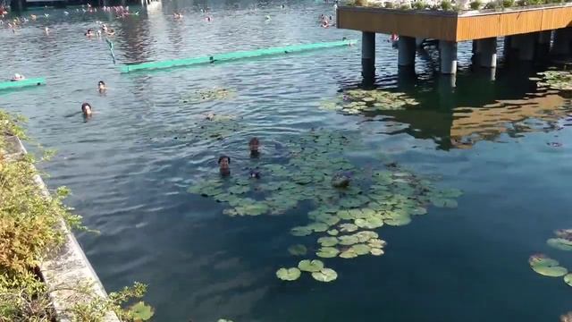 Отдых на озере Хевиз