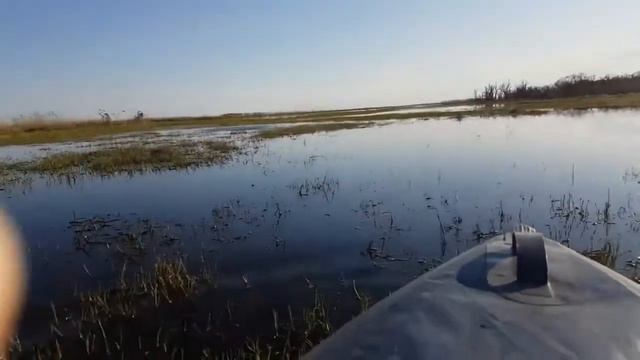 Змееголов . Рыбалка на змееголова. На лягушку. смотреть онлайн