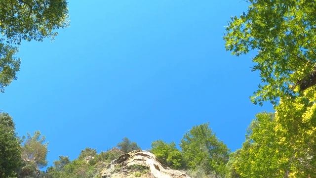 Это работает.Медитация Джо Диспенза части тела.Здесь и сейчас. смотреть онлайн