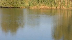 Рыбалка в Ростове на Дону.