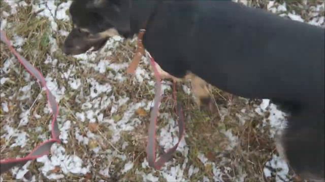 Они очень мечтают обрести дом смотреть онлайн